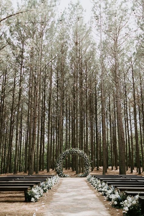 Pine Colored Wedding, Forest Wedding Tennessee, Outdoor Wedding Pine Trees, Married In Front Of Tree, Wedding Pine Trees, New England Forest Wedding, Boho Wedding Venues Outside, Wedding In The Trees, Wedding In The Pines