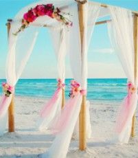 Beach Wedding Pink, Beach Wedding Arch, Miami Beach Wedding, Miami Wedding Venues, Florida Beach Wedding, Garden Wedding Decorations, Wedding Petals, Wedding Venues Beach, Wedding Beach Ceremony