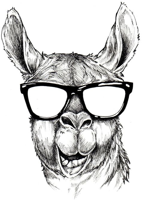 Hello llama by ShangaiLily.deviantart.com on @DeviantArt Alpaca Drawing, Llama Drawing, Llama Face, Llama Arts, Birthday Coloring Pages, Drawing Heads, Arte Robot, Outline Drawings, Animal Sketches