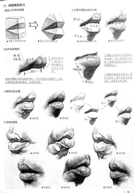 Lips Anatomy Drawing, Mouth Anatomy Drawing, Lip Anatomy Drawing, Mouth Study, Lip Anatomy, Mouth Anatomy, Improve Your Drawing Skills, How To Draw Anything, Improve Your Drawing