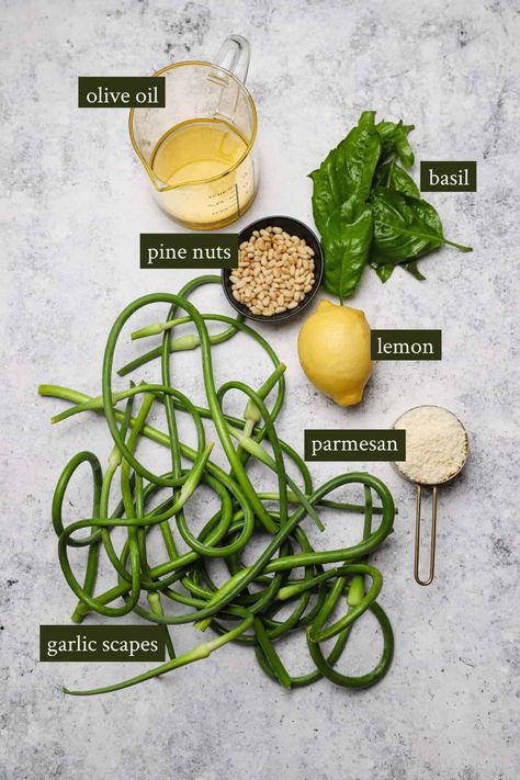 Garlic Scapes Recipes Pesto, Garlic Scape Pesto Recipes, Garlic Stems Recipe, Garlic Scape Recipes, Garlic Scapes Recipes, Scape Pesto Recipe, Scape Pesto, Garlic Scape Pesto, Garlic Scapes