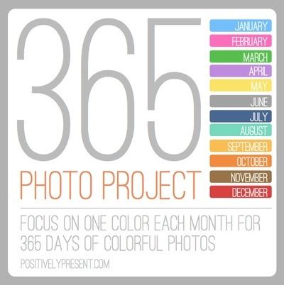 Project Themes, Photography Challenges, 2023 Photography, 365 Photo Challenge, Foto Macro, Photography Hacks, Photo Challenges, Photo A Day Challenge, Photo Prompts