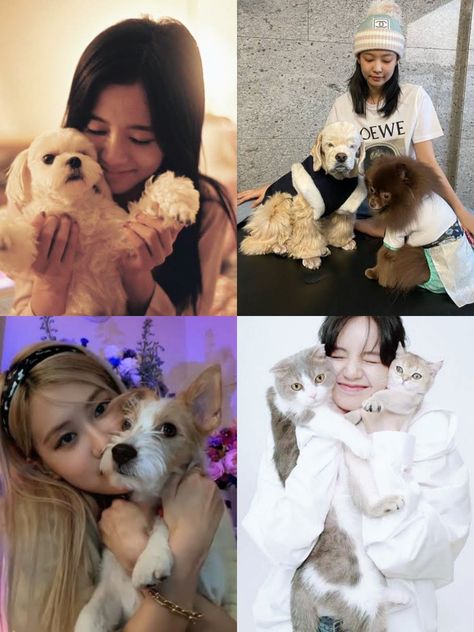 Blackpink Pets, Pop Idol, Animals Friends, Kpop Idol, بلاك بينك, Black Pink, Dogs, Pink, Animals