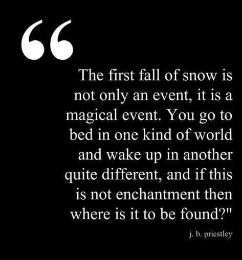 Snow Quotes, Birthday Story, First Snowfall, Season Quotes, I Love Snow, Winter Quotes, Snow Fall, Late Autumn, Early Winter