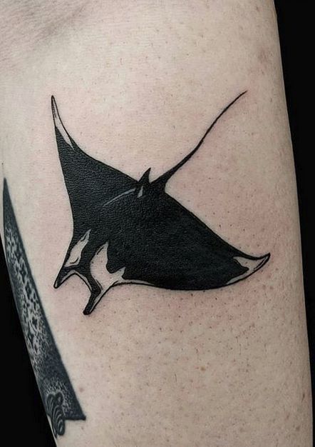 Manta Tattoo Manga Ray Back Tattoo, Traditional Manta Ray Tattoo, Giant Manta Ray Tattoo, Bat Ray Tattoo, Manga Ray Tattoo, Manta Rays Tattoo, Cute Cover Up Tattoos, Tattoos Stingray, Manta Ray Tattoo Small