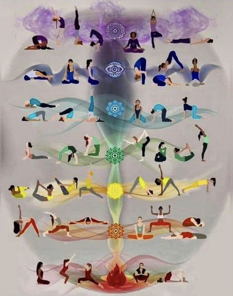 Hata Yoga, Chakra Healing Meditation, Yoga Facts, Manipura Chakra, Yoga Kundalini, Latihan Yoga, Yoga Mantras, Trening Fitness, Chakra Yoga