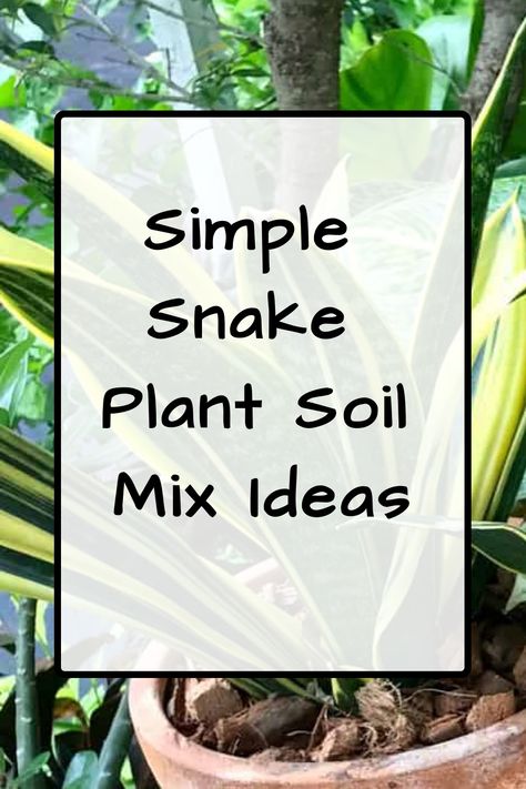 Proper soil composition is crucial for creating a healthy environment for your cherished Snake Plant to flourish. The type of soil you use can greatly impact the growth and well-being of your plant. Make sure to select a well-draining soil mix that provides the right balance of nutrients and proper aeration to support optimal growth. By choosing the right soil, you can help your Snake Plant thrive and enhance its overall vitality and longevity in your home or office space. Snake Plant Soil, Diy Snake, Succulent Potting Mix, Types Of Snake, Yucca Plant, Snake Plants, Gardening Gear, Crabapple Tree, Organic Compost