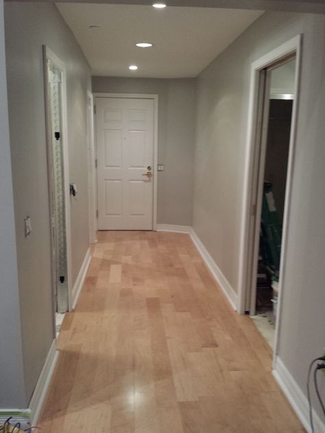 Dolphin Fin, Grey Hardwood Floors, Gray Painted Walls, Grey Hardwood, Hardwood Floor Colors, Grey Wood Floors, Maple Floors, Light Hardwood, Light Grey Walls