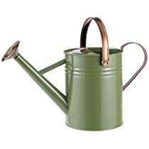 Check this out at Amazon Small Houseplants, Plant Watering Can, Watering Plants, Diwali Decoration Items, Plant Watering, Metal Watering Can, Watering Cans, Living Water, Garden Trees