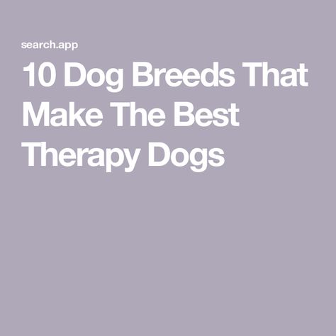 10 Dog Breeds That Make The Best Therapy Dogs Dog Memorial Jewelry, Country Living Uk, Dog Car Accessories, Dog Lover Jewelry, Premium Dog Food, Dog Garden, Nursing Homes, Dog Car Seat Cover, Dog Facts