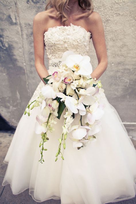 Orchard Bouquet, Justin Alexander Wedding Dress, Cascading Wedding Bouquets, Orchid Bouquet, Prettiest Bouquet, Orchid Wedding, Sophisticated Bride, Cascade Bouquet, White Wedding Bouquets