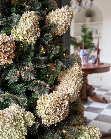 Remember all the hydrangeas I dried during the late summer/early fall? This is why! Last year I saw a Christmas tree that @jeanstofferdesign did with all sorts of dried hydrangeas and botanicals… I was obsessed and began planning for this year. I’m not quite done with this tree yet- I need a tree topper and I have some clip on candles coming but I felt these ribbons of hydrangeas needed a spot here. Who will be drying hydrangeas next year?? #christmastree #oldhouselove #wallpaper #house... Dried Hydrangeas Christmas, Drying Hydrangeas, Wallpaper House, Late Summer Early Fall, Dried Hydrangeas, Tree Topper, Early Fall, High Life, Late Summer