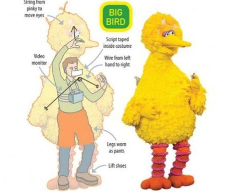 Big Bird Costume, Sapo Kermit, Silly Puppets, Bird Costume, Jim Henson, Close My Eyes, Big Bird, Screen Time, Cool Websites