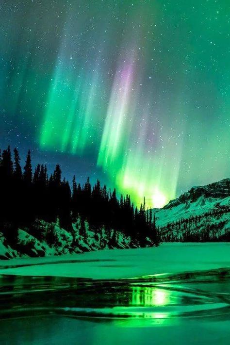 Northern Lights Photography, Alaska Photos, Northern Lights (aurora Borealis), Aurora Borealis Northern Lights, Snowy Mountain, The Aurora, Wallpapers Iphone, The Night Sky, Alam Yang Indah