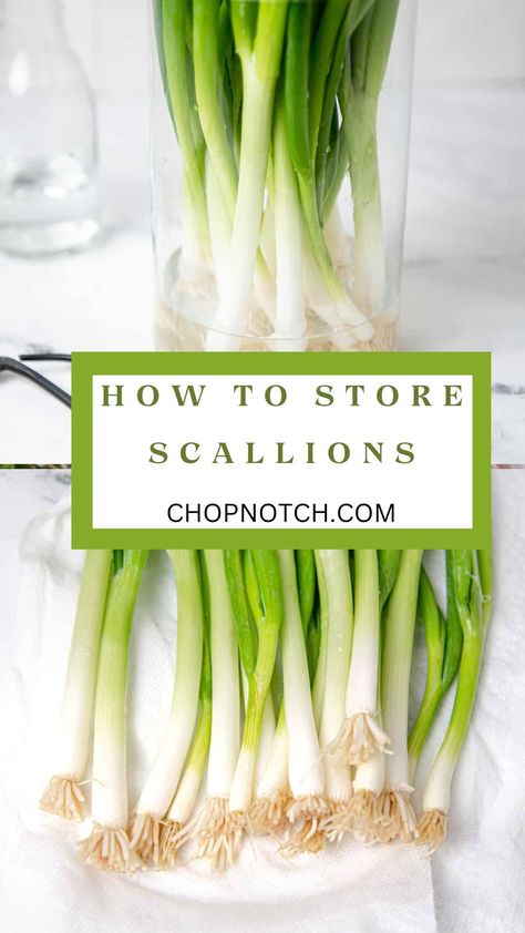 Unlock the secrets to maintaining the crispness and flavor of scallions with our comprehensive guide on how to store scallions. From proper washing and drying techniques to ideal storage conditions, this guide provides essential insights to help you prolong the shelf life of your scallions.🌱✨ Pin this guide now for a flavorful journey in scallion preservation! #ScallionStorage #KitchenTips #FreshFlavors #ChopNotchKitchen #FoodPreservation How To Store Scallions, Preserving Scallions, Drying Scallions, What To Do With Scallions, Scallion Recipes, Fast Easy Desserts, Scallions Recipes, Storing Vegetables, Tea Party Food