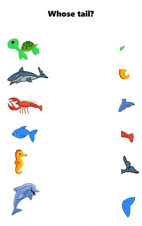 Whose tail - Interactive worksheet Craft Sea Animals, Sea Animals Worksheets For Kids, Summer Activities For Toddlers, Prewriting Skills, Shape Activities Preschool, Maze Worksheet, English Teaching Materials, Phonetic Alphabet, Animal Tails