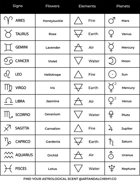 Hand Tattoos Astrology, Alchemical Symbols Elements, Star Sign Elements, Element Signs Tattoo, Zodiac Elements Symbols, Alchemy Chart, Capricorn Tattoo Elements, Element Zodiac Signs, Elemental Signs