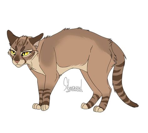 Wind Runner, Warrior Cats Series, Warrior Cats Books, Warrior Cats Fan Art, Warrior Cat Drawings, Warrior Cat Oc, Love Warriors, Cat Oc, Warrior Cats Art