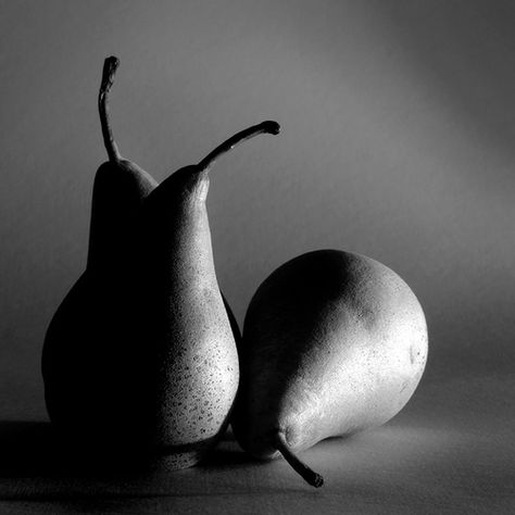 White Still Life Photography, Black And White Still Life, White Still Life, Light And Shadow Photography, Still Life Pictures, The Ledge, Shadow Photography, Still Life Photos, Still Photography