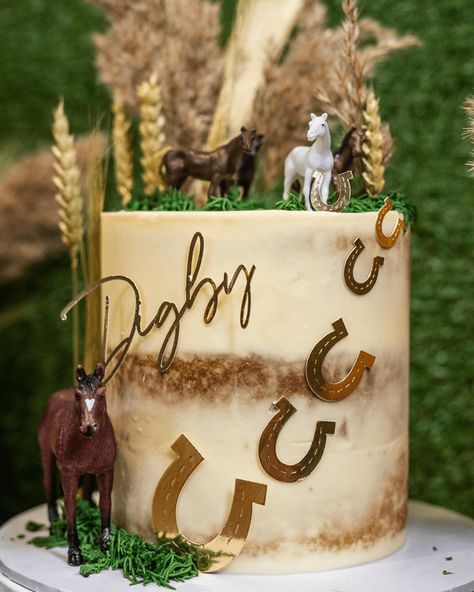 Horse Cake Design, Country Birthday Cakes, Bolo Motocross, Western Birthday Cakes, Cowboy Birthday Cakes, Country Birthday Party, Horse Themed Party, Horse Birthday Cake, Cowboy Cakes