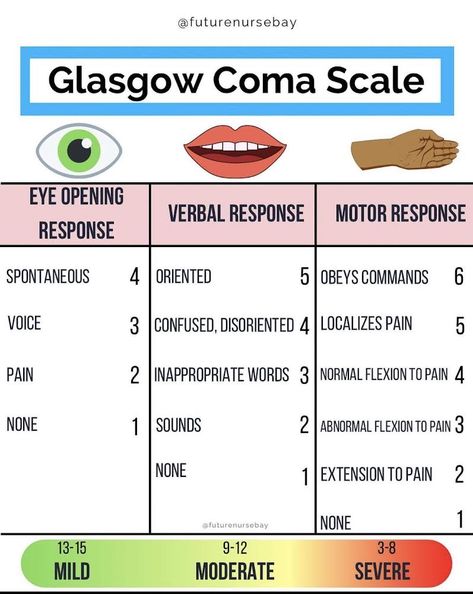 Nursing School Studying Cheat Sheets, Glasgow Coma Scale, Nurse Teaching, Nursing School Essential, Medical School Life, Nurse Study Notes, Basic Anatomy And Physiology, Nursing Mnemonics, Nursing Student Tips