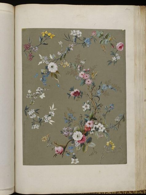 Design from an album of designs for printed textiles (1788-1792) by William Kilburn Drawing Studies, National Art, Victoria And Albert, Victoria And Albert Museum, Make Design, Textile Prints, Botanical Illustration, Design Show, Rose Buds