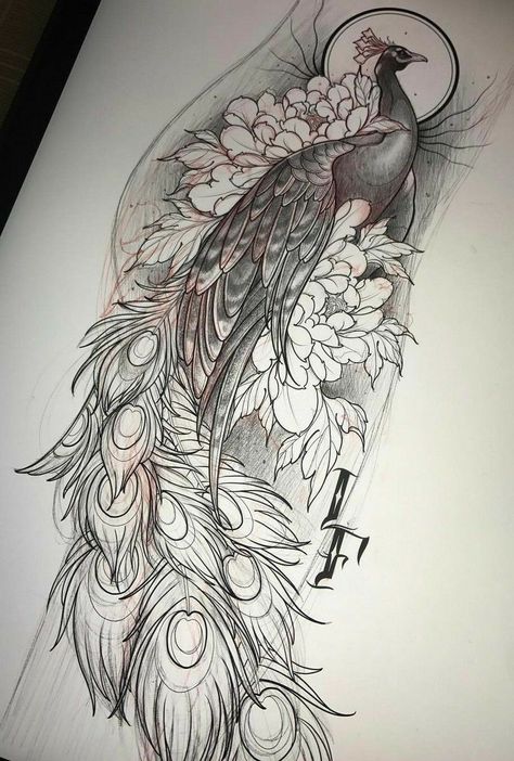 Mangas Tattoo, Tattoo Hip, Peacock Drawing, Catrina Tattoo, Tier Tattoo, Tattoo Thigh, Peacock Tattoo, Bird Sketch, Peacock Art