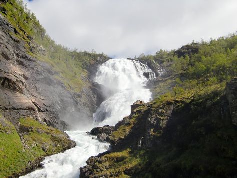 THE BEST Things to Do in Myrdal - 2023 (with Photos) - Tripadvisor Myrdal Norway, What To Do Today, To Do Today, In November, Tourist Attraction, This Weekend, Places To See, Norway, Trip Advisor