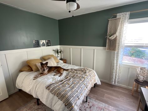 Green Half Wall Living Room, White Paneling With Green Walls, Green Bedroom Half Wall, Half Wall Paint Ideas Bedrooms, White Panelling Green Walls, Half Painted Wall Green, Half Green Wall Bedroom, Half Painted Wall Bedroom Green, Green Waynes Coating Bedroom