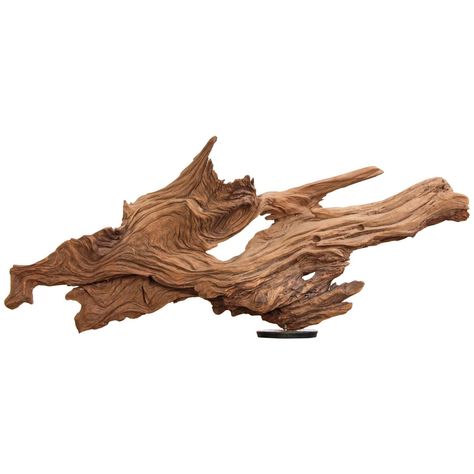 Driftwood Sculpture Organic Modern Sculpture Nature, Driftwood Art Sculpture, Driftwood Sculptures, Decor With Ropes, Nature Ideas, Driftwood Ideas, Driftwood Fish, Driftwood Projects, Tree Textures