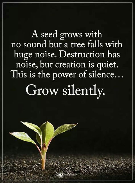 Grow Silently, Silence Quotes, Good Advice, Thoughts Quotes, Meaningful Quotes, Great Quotes, Spiritual Quotes, Wisdom Quotes, True Quotes