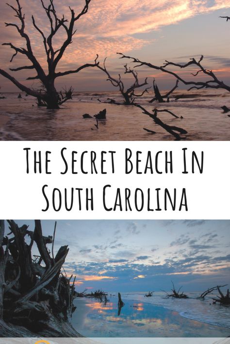 This spectacular secret beach in South Carolina can be found on an island. You'll have to take a boat to get here - We recommend the Bulls Island Ferry through Coastal Expeditions. | South Carolina Vacations | Boat Tours | Nature | Boneyard Beach | Hidden Gem | Travel Destinations | Weekend Getaway | Myrtle Beach | Charleston | Photography | Hiking Myrtle Beach Family Vacation, Myrtle Beach Things To Do, Myrtle Beach Photography, Myrtle Beach Trip, Folly Beach South Carolina, Myrtle Beach Restaurants, Myrtle Beach Boardwalk, Charleston Photography, South Carolina Vacation