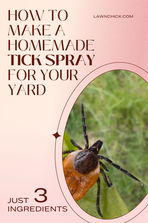 How to Make a Homemade Tick Spray For Your Yard - Just 3 Ingredients Tick Free Yard, How To Keep Ticks Out Of Your Yard, How To Get Rid Of Ticks In Yard, Tick Repellent For Yard, Tick Spray For Yard, How To Repel Flies, Homemade Tick Repellent, Get Rid Of Ticks, Outdoor Curb Appeal