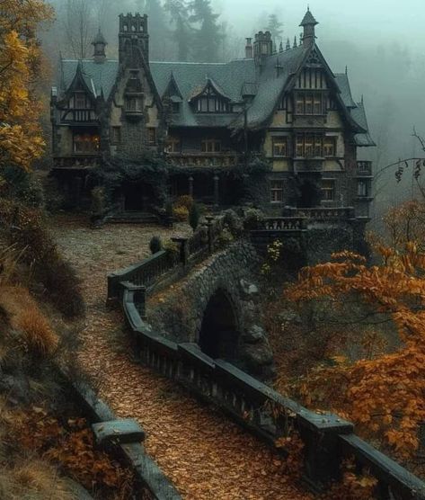 Aka Aesthetic, Gothic Fireplace, Gothic Manor, Spooky Houses, Castle Exterior, Creepy Houses, Abandoned Things, Dark Home Decor, Spooky House