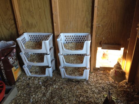 Chicken Brood Boxes, Simple Nesting Boxes, Cute Chicken Nesting Boxes, Hen Nesting Boxes Ideas, Wood Crate Nesting Boxes, How Many Nesting Boxes For Chickens, Chicken Beds Nesting Boxes, Milk Crate Chicken Nesting Boxes, Diy Chicken Laying Boxes