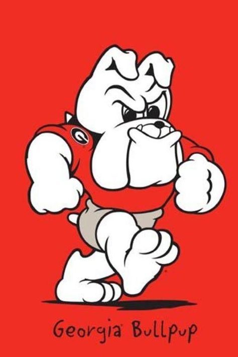 Bulldog Drawing, Uga Bulldogs, Ga Bulldogs, Bulldog Artwork, Georgia Dawgs, Georgia Bulldogs Football, Georgia Bulldog, Georgia Football, Bulldogs Football