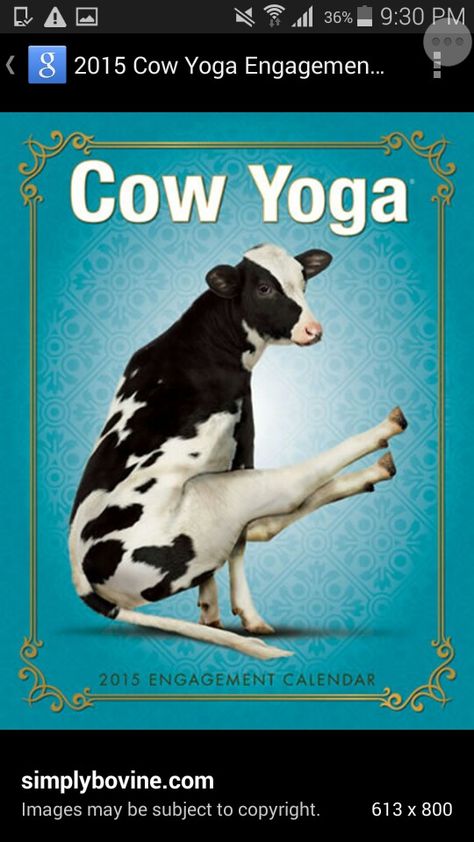 Animals Doing Yoga, Cow Yoga, Cow Photography, Wood Craft Patterns, Happy Cow, Account Closed, Cartoon Cow, Willow Creek, Childrens Books Illustrations