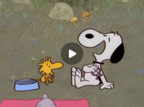 Vintage Cartoons | Snoopy come home, 1972 | Instagram Gifs Snoopy, Snoopy Gif, Vintage Cartoons, Snoopy Pictures, August 28, Vintage Cartoon, Come Home, Woodstock, Motion