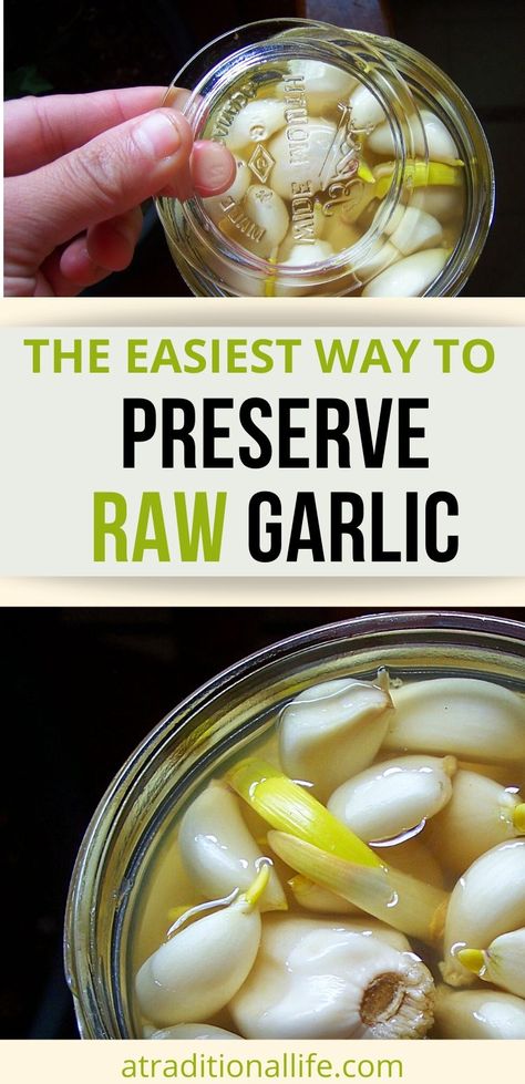 How To Preserve Peeled Garlic, Marinated Garlic Cloves Recipes, Canned Garlic Cloves, What To Do With Garlic Cloves, Storing Garlic Cloves, How To Preserve Garlic Cloves, Preserve Garlic Cloves, Garlic Peeling Hack, Canning Garlic Cloves