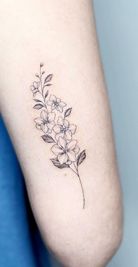 Larkspur Flower Tattoo With Name, Hand Drawn Larkspur, Water Lilly And Larkspur Tattoo, Larkspur Flower Sketch, Larkspur Doodle, Larkspur Collar Bone Tattoo, Larkspur Vine Tattoo, Delphinium Line Art, Dainty Larkspur Tattoo