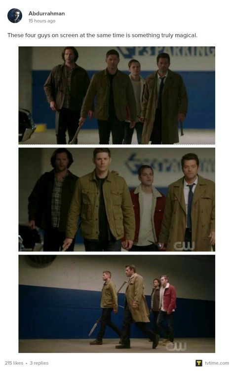 Team Free Will 2.0 Wallpaper, Team Free Will 2.0, Team Free Will, Spn Memes, Supernatural Imagines, Supernatural Wallpaper, Supernatural Art, Supernatural Tv Show, Supernatural Memes