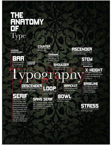 type Typography Anatomy, Anatomy Of Type, Anatomy Of Typography, Type Anatomy, Interactive Poster, Typographic Poster Design, Anatomy Poster, Posters Design, Educational Poster