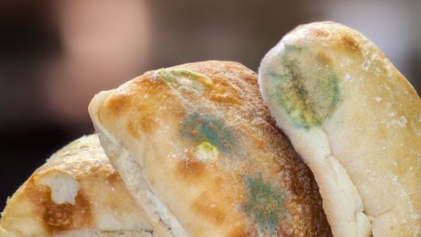 What If You Eat Moldy Bread? | HowStuffWorks Moldy Bread, Moldy Cheese, Syrup Cake, Golden Syrup, Lemon Desserts, Recipes Homemade, Soft Cheese, Dog Recipes, Fruit Cake