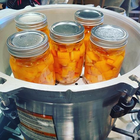 Pressure Canner Recipes, Canning Squash, Canning Meals, Meal Starters, Canning Soup Recipes, Canned Squash, Butternut Recipes, Vegetable Soups, Pressure Canning Recipes