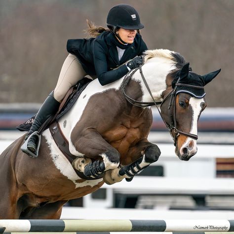 Hunter Horse, Horse Competition, Show Jumping Horses, American Paint Horse, Cute Horse Pictures, Equestrian Aesthetic, Beautiful Horse Pictures, Pinto Horse, Horse Riding Equestrian