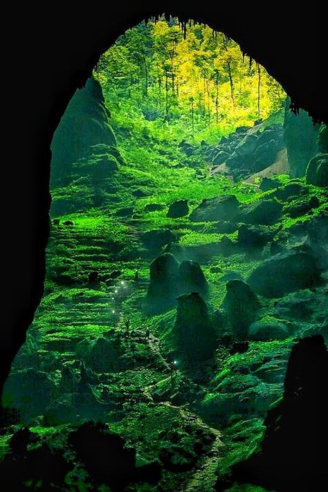 Son Doong Cave Vietnam, Vietnam Cave, Son Doong Cave, Cave Photography, Gold Makeup Looks, Magical House, Paris Architecture, Crystal Cave, Architecture Inspiration