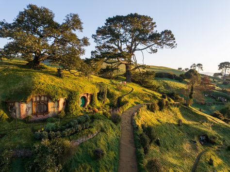 Bag End, The Hobbit Movies, Lotr Art, Hobbit Hole, Tarot Reader, Beautiful Trees, Movie Set, The Two Towers, Hobbit House