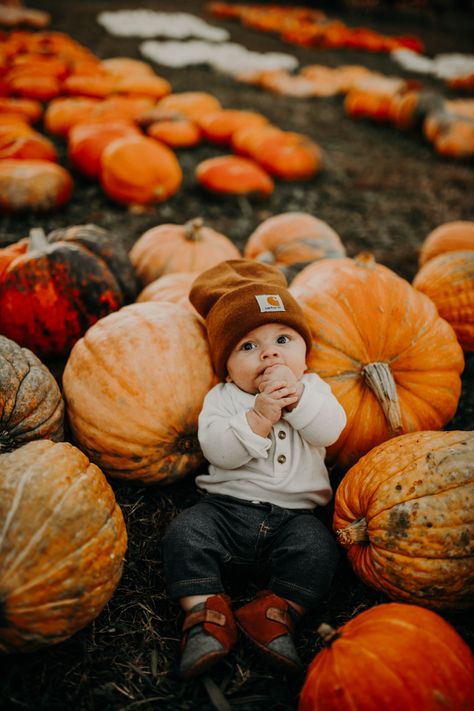 Fall Pictures For Newborns, 1 Month Fall Photoshoot, Pumpkin Patch Infant Photos, 3 Month Pumpkin Pictures, Pumpkin Patch Photo Ideas Family, 4 Month Old Pumpkin Patch Pictures, Pumpkin Patch Photos With Baby, Baby With Pumpkin Pictures, 2 Month Pumpkin Pictures