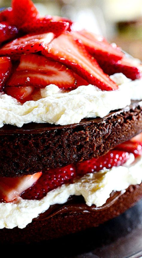 Chocolate Strawberry Nutella Cake ~ Recipe by The Pioneer Woman Strawberry Nutella Cake, Nutella Cake Recipe, Nutella Recipes Cake, Strawberry Nutella, Coconut Dessert, Amazing Chocolate Cake Recipe, Chocolate Strawberry Cake, Nutella Cake, Nutella Recipes