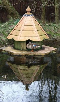 Duck Houses, Duck Island, Backyard Ducks, Duck Coop, Raising Ducks, Farm Pond, House Wallpaper, Duck House, Duck Pond